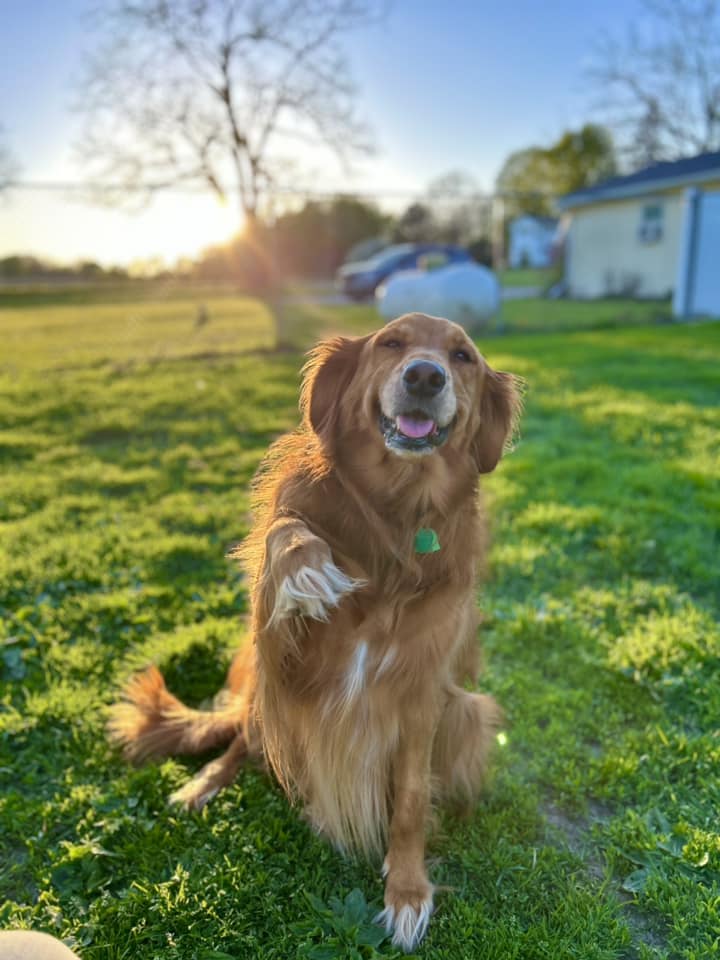 490606615_1246279597498965_6879800310566364603_n