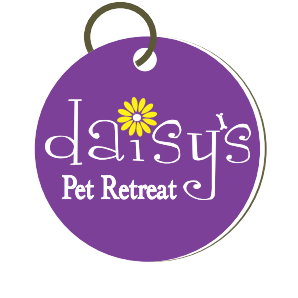 DPRLogo-removebg-preview